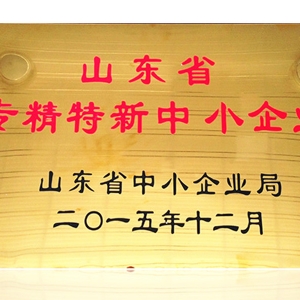 山東省專精特新中小企業(yè)